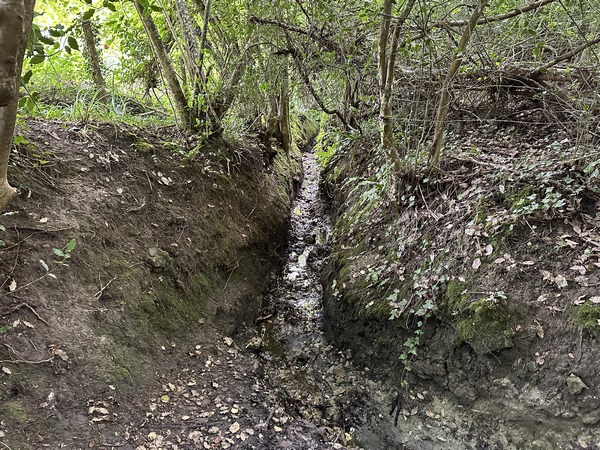 Entre le Chemin de Traverse et le Chemin de l'Eglise, nous suivons ce... chemin ? Nous sommes en période sèche du mois d'août ! Contrairement à ce que laisse penser la photo, il n'est pas difficile. Mais il est totalement impraticable en période humide.