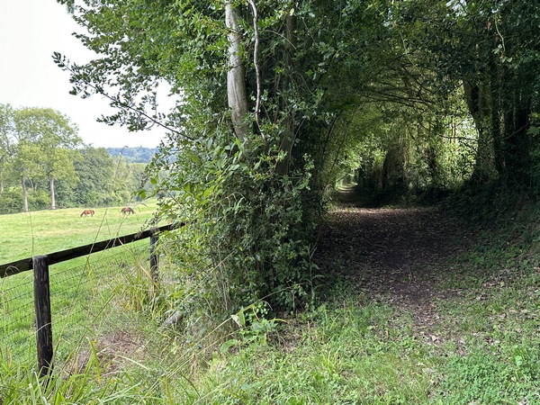 Le Chemin Philbec est beaucoup plus beau... plus large et plus sec.