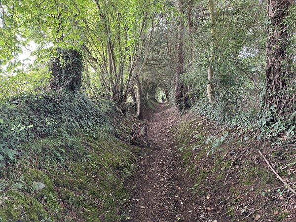 Nous marchons vers le chemin des Vanniers.