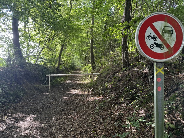 Nous quittons l'itinéraire balisé pour marcher en direction de la chapelle Saint-Michel.