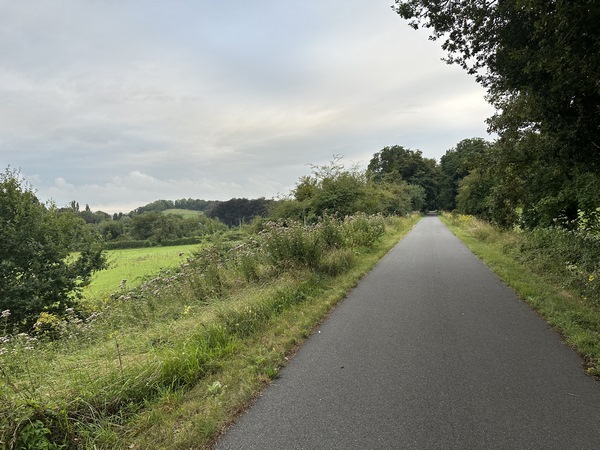 L'ancienne voie ferrée longe la forêt domaniale du Trait-Maulévrier.