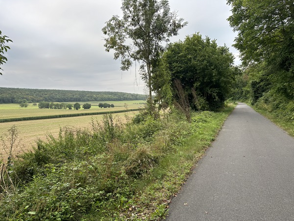 Nous dominons maintenant la vallée sèche de Yainville. Ancienne vallée de l'Austreberthe, Vauban pensa y réaliser un canal pour améliorer la navigation en Seine en coupant le méandre de Jumièges.