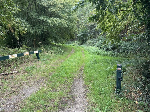 Le Trait, entrée en forêt domaniale du Trait-Maulévrier. Nous allons suivre le GR2 jusqu'à Duclair.