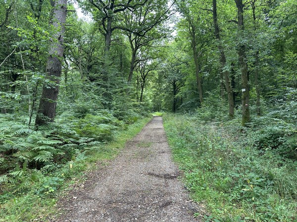 Le GR2 suit un chemin renforcé, cette rando peut être pratiquée un jour de pluie sans patauger.