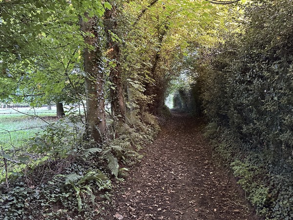 Nous sortons du village par une succession de petites rues tortueuses, et d'un charmant chemin.