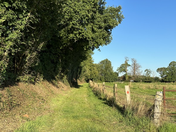 Nous quittons la route de la Drourie et l'itinéraire officiel pour suivre ce chemin vers Saint-Symphorien.