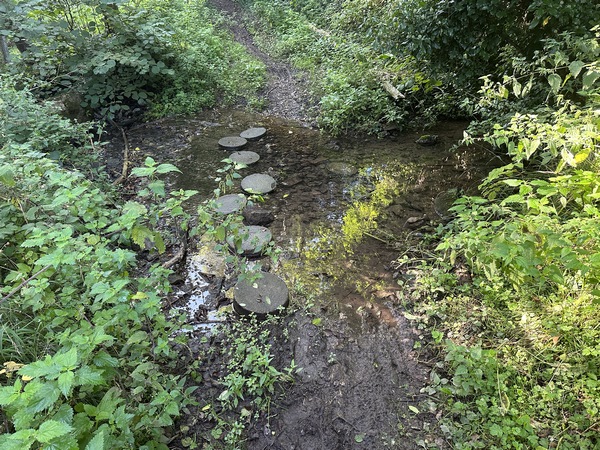 Nous franchissons le ruisseau de la Fontaine Barbotte (ou ruisseau de Tourville) dont nous avons vu la source tout à l'heure, près du lavoir. Nous avons retrouvé l'itinéraire officiel.