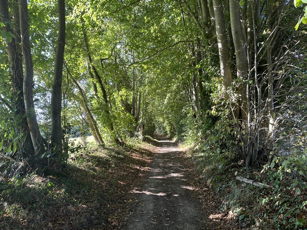 Nous suivons maintenant le beau chemin de Saint-Laurent, en direction de la source du même nom.