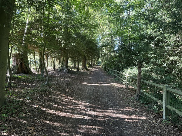 Nous contournons Selles par ce chemin de l'Enclos Picard.