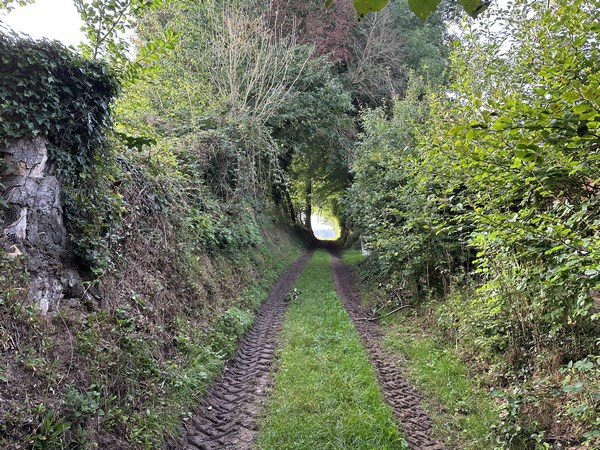 Chemin creux en direction d'Etalleville.