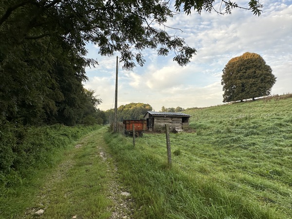 Nous arrivons sur le Chemin du Pont de Loumare au Val au Cesne. C'est le chemin qui descend dans le bois de la Brétèque.