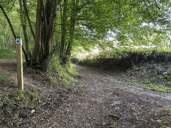 Nous sommes rejoints par notre circuit de St-Clair-sur-les- Monts, très jolie boucle de 10 km.