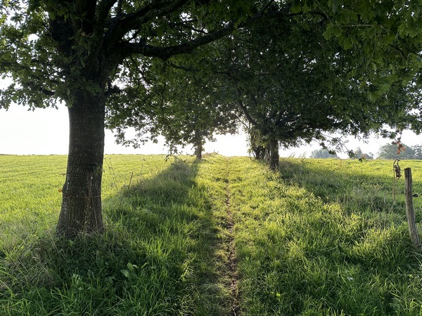 Nous y sommes accueillis par le soleil matinal, de face.