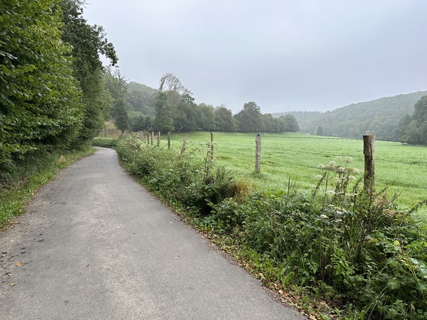 Nous avons rejoint le Chemin des Vaux, qui est une petite route déserte. Elle monte en pente douce jusqu'à St-Gilles.