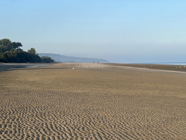 La plage est accessible quelle que soit la marée, mais il est plus facile de marcher sur le sable ferme à marée basse. Pour nous, la basse mer était à 6h30, et il est maintenant 8h30.