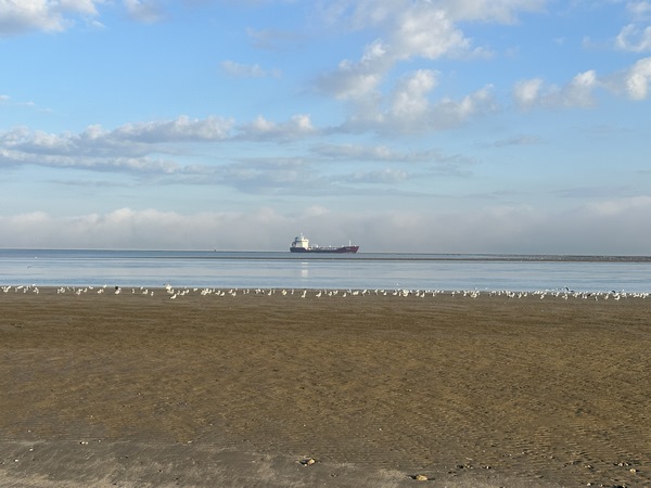 Le port du Havre est caché par le brouillard matinal, et les bateaux qui entrent dans l'estuaire actionnent leur corne de brume.