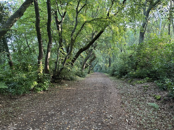 Cet ancien parc du Manoir du Breuil est réputé pour ses massifs de rhododendrons. Les arbres les plus fréquents sont des chênes, des hêtres, des pins sylvestres.