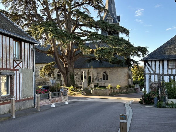 Nous arrivons au Mesnil-Durand, connu pour&nbsp;son cèdre millénaire qui veille sur les stèles illisibles de l'ancien cimetière au pied de l'église Saint-André.
