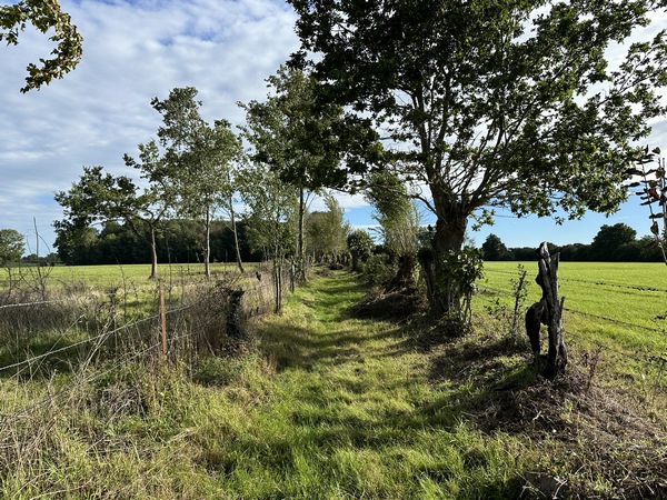 Chemin des Berthes en direction de la route de Fervaques.