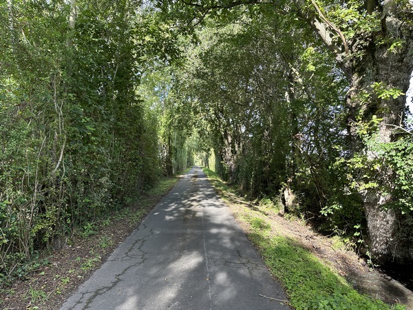Nous fermons la boucle par de petites routes. Celle-ci s'appelle le Chemin des Bruyères.