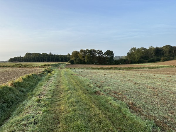 Ce circuit ne présente aucune difficulté : le terrain est plat et les chemins bien entretenus. Ces paysages de plaine peuvent être monotones quand la terre est nue comme en cette fin septembre.
