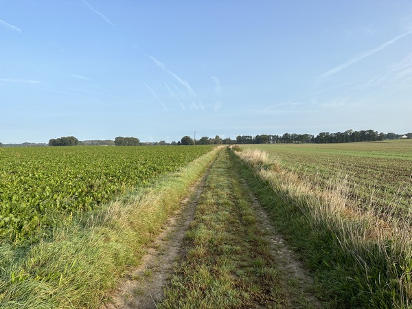 Je m'attendais à patauger sur des chemins boueux de plaine agricole, mais non, les chemins sont parfaits.