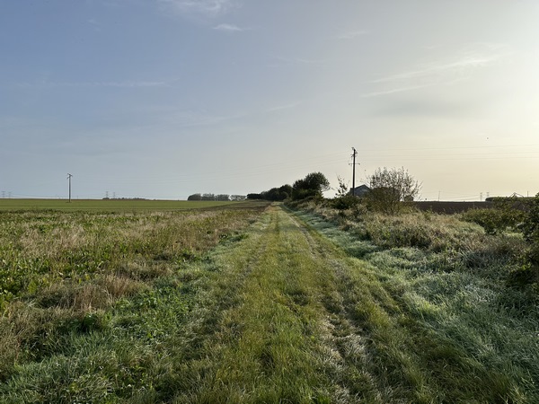 Je marche sur l'une des deux anciennes voies ferrées du Chemin de Fer de Normandie, ancien réseau qui exploitait deux voies métriques en Pays de Caux (1912-1947). Ici, c'est la ligne entre Ouville-la-Rivière et Motteville (liaisons Dieppe, Le Havre...)