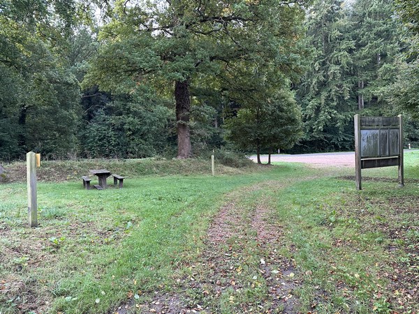 Nous arrivons à l'aire du Val Dallet avec sa table de pique-nique. Le Chêne à la Vierge se trouve à 170m, sur la droite, en bordure de la D47. Nous, nous restons sur l'itinéraire, et allons traverser la D47 pour continuer en face.