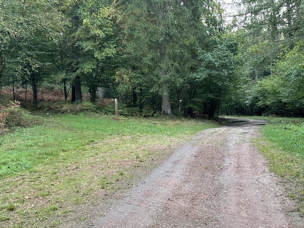 Nous allons quitter la route forestière ici, à gauche, et monter vers les Roussettes.