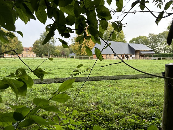 Au sommet, derrière la haie, on devine le manoir et les écuries des Roussettes.