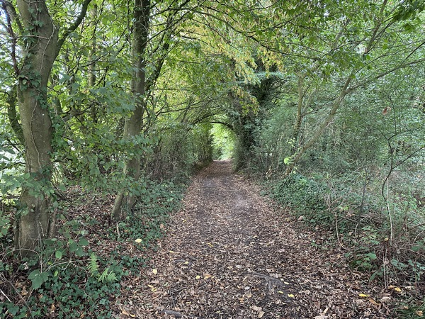 A la sortie du hameau du Manoir, nous descendons le chemin du Calibouret.
