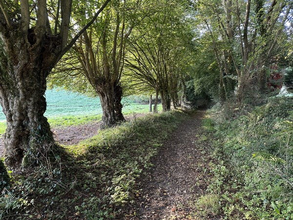 Nous contournons le Lieu Bourg, puis descendons le délicieux chemin de Costil Viout.