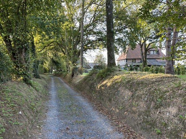 Chemin de Costil Viout.