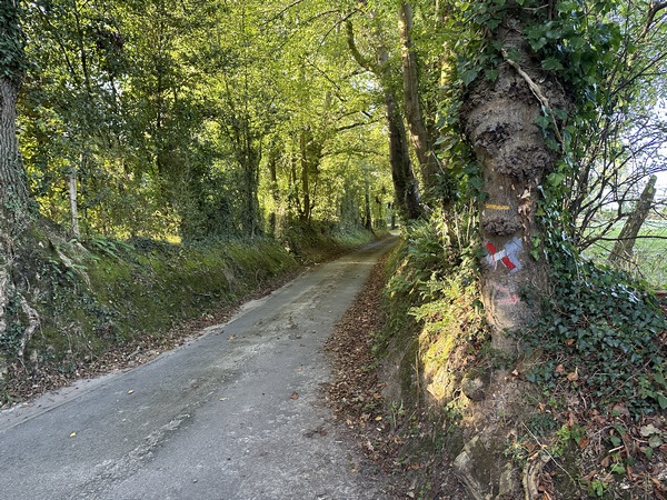 Nous quittons le GR26 pour rejoindre le Chemin du Petit Colleville.