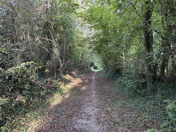 Le Chemin du Petit Colleville est une longue voie qui est parfois une petite route, parfois un vrai chemin.