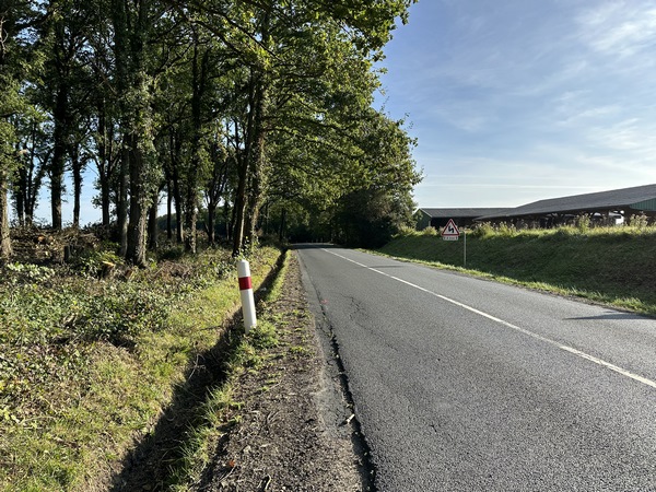 Nous avons rejoint la D27 que nous allons devoir suivre sur 600 mètres. C'est une départementale fréquentée, et l'accotement n'est pas très large.