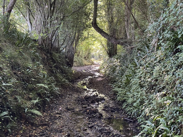 Nous quittons la D27 pour rejoindre le chemin des Broches. C'est un chemin le long duquel coule des eaux de ruissellement. C'est un chemin inondable qui traverse le ruisseau du Vaunoy.