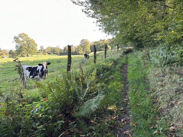 Le chemin des Broches remonte vers Saint-Pierre-Azif.