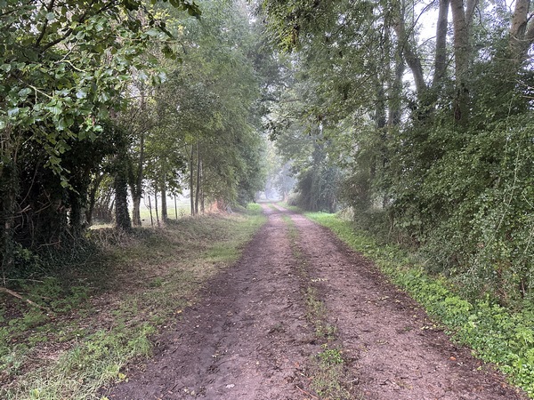 Ce large chemin va nous conduire droit vers le Vieux Château.