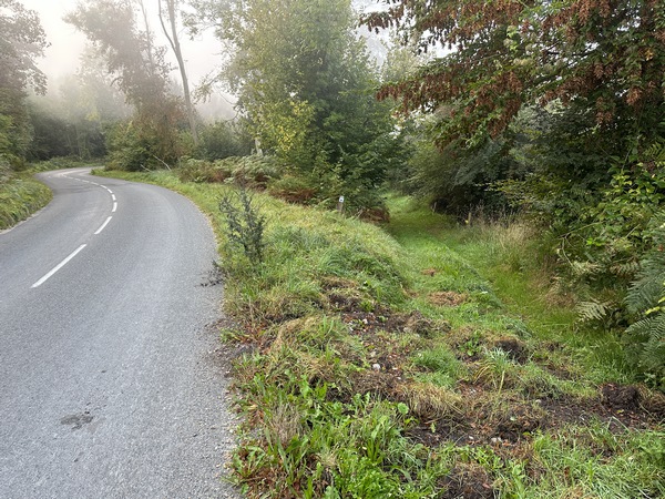 Un peu plus loin, nous quittons la route d'Aizier pour entrer sur la voie romaine à droite.