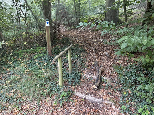 Quand la voie romaine rejoint la route d'Aizier, nous montons vers la forêt de Brotonne.