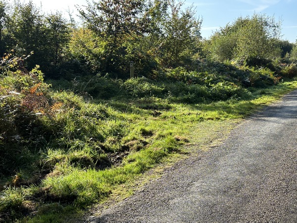 Nous contournons Réserve Biologique Intégrale des Landes, et allons tourner ici à gauche. On voit, en face, le poteau et sa balise bleue.