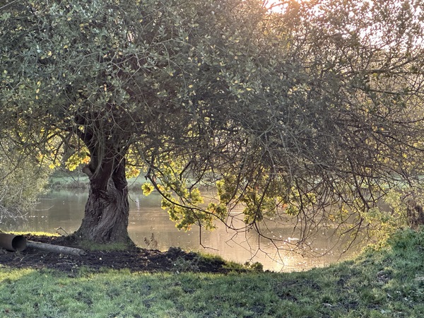 Le Chemin de Malassis longe des étangs privés et des étangs de pêche.