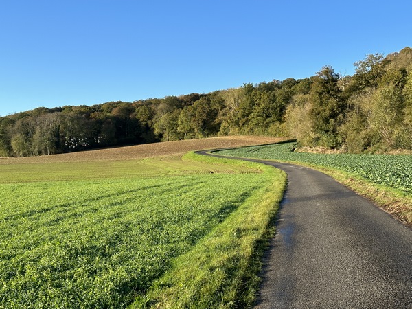 Nous avons traversé le Petit Nassandres, franchi la Risle et la Charentonne, et montons entre les bois de Maubuisson et Loquerais.