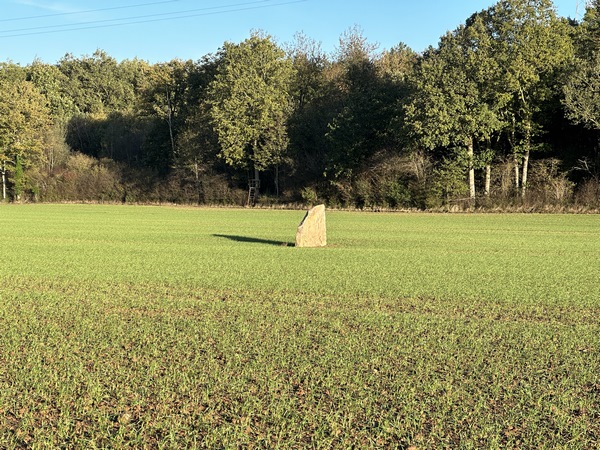 Peu avant d'entrer dans le bois de Loquerais, on peut observer cette pierre monolithique. C'est le Menhir du Croc, bloc de grès plat de plus de 2 mètres de hauteur. C'est, semble-t-il,&nbsp; un vestige de la tribu celte des Véliocasses. Un autre menhir se trouve un plus au sud, dans le bois de Maubuisson.