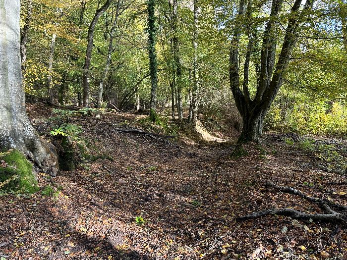 Non loin de la voie ferrée, se trouvait un château du XIVe siècle. Nous tournons vers l'est pour franchir la Risle.
