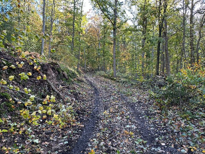 Juste en face du lac de Grosley, nous trouvons le chemin qui monte vers Conchez.