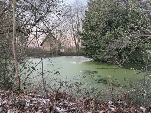 Dans cette région, ce ne sont pas les mares ou les ruisseaux qui manquent.&nbsp;