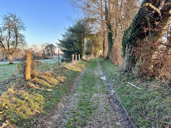 Nous marchons toujours vers le nord, en direction de Genneville.