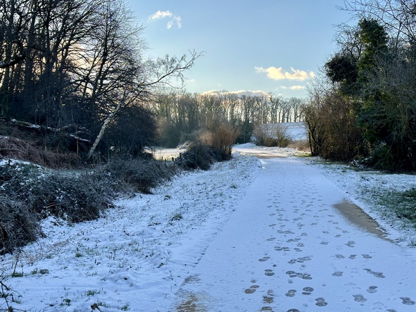 Nous partons de l'ancienne gare de Cany-Barville, et suivons vers l'est la Véloroute du Lin. La Véloroute suit ici l'ancienne ligne ferroviaire Saint-Vaast - Fécamp dans des paysages boisés.